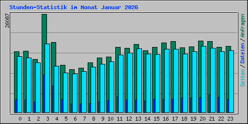 Stunden-Statistik im Monat Januar 2026