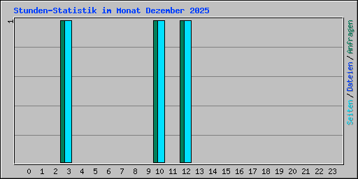 Stunden-Statistik im Monat Dezember 2025